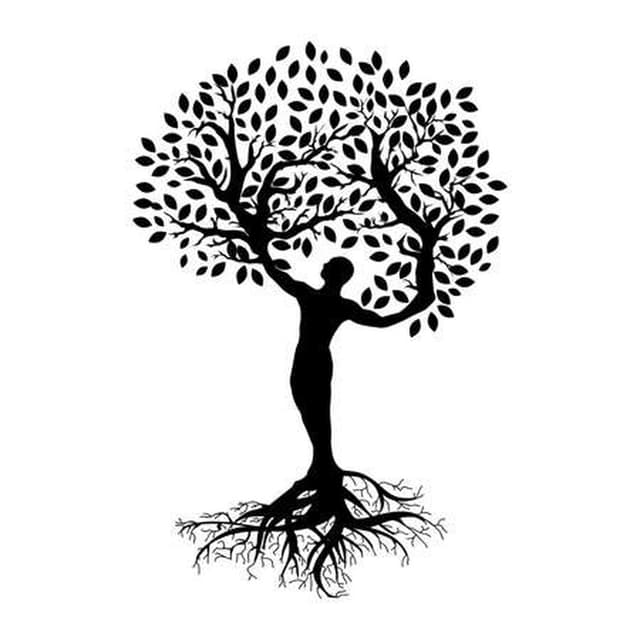 Root of Health Nutrition